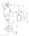 Fig. 02 - Sequential low energy neurofeedback treatment