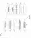 Fig. 09 - METHODS AND DEVICES FOR TREATING ATRIAL FIBRILLATION