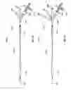 Fig. 09 - Occlusion perfusion catheter