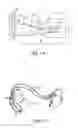 Fig. 02 - Method and devices for performing cardiac waveform appraisal
