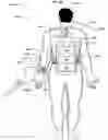 Fig. 40 - Wearable wireless power transmitter