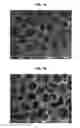 Fig. 02 - POROUS MATERIALS, METHODS OF MAKING AND USES