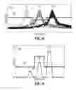 Fig. 07 - Density trace measurement