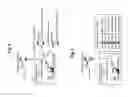 Fig. 03 - AGGREGATION OF AN AGGREGATION