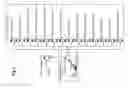 Fig. 04 - AGGREGATION OF AN AGGREGATION