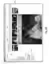 Fig. 27 - SOCIAL NETWORKING SYSTEM AND METHOD FOR AN ONLINE STATIONERY OR GREETING CARD SERVICE