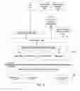 Fig. 04 - Network and interface selection on a computing device capable of establishing connections via multiple network communications media
