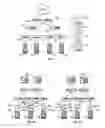 Fig. 02 - Network traffic optimization