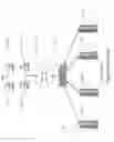 Fig. 02 - Hierarchical load balancing