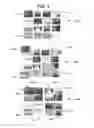 Fig. 07 - Cellular user interface