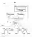 Fig. 01 - SYSTEMS AND METHODS FOR SENDING MEDIA CONTENT TO A USER DEVICE FROM A NETWORK OF SET-TOP CELLS
