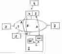 Fig. 01 - METHOD AND SYSTEM FOR AUTHENTICATING NETWORK NODES OF A PEER-TO-PEER NETWORK
