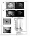 Fig. 01 - METHOD FOR PRODUCING HETEROGENOUS EMBRYONIC CHIMERIC ANIMAL USING A STEM CELL
