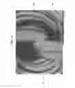 Fig. 07 - Fusible bicomponent spandex