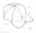 Fig. 01 - HEADWEAR WITH SECURELY ADJUSTABLE BRIM