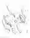 Fig. 04 - Garden shears