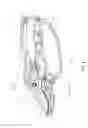 Fig. 05 - Garden shears