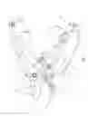 Fig. 06 - Garden shears