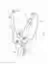 Fig. 07 - Garden shears