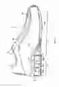 Fig. 02 - Article of footwear with a sole structure having support elements and an indented plate