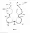 Fig. 07 - Article of footwear with a sole structure having support elements and an indented plate