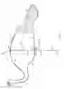 Fig. 02 - Telescopable strut for turkey decoy
