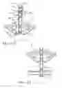 Fig. 07 - Multi-position draw weight crossbow