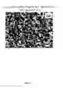 Fig. 04 - HIGH EFFICIENCY DYE-SENSITIZED SOLAR CELL WITH LAYERED STRUCTURES