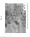Fig. 02 - CARBONITRIDED PART AND PROCESS FOR PRODUCING CARBONITRIDED PART