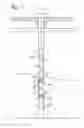 Fig. 07 - PERFORATING GUN ASSEMBLY TO CONTROL WELLBORE FLUID DYNAMICS