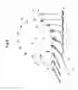 Fig. 07 - Apparatuses and method for transferring flexible flat objects
