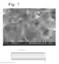 Fig. 02 - Monolith separation medium for chromatography and process for producing the same