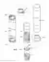Fig. 03 - Double chamber water purification device