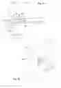 Fig. 07 - Apparatus For The Suspended Or Lying Display Of Articles