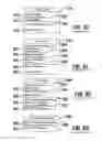 Fig. 43 - Banking system controlled responsive to data bearing records