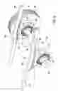 Fig. 03 - Spring suspension assembly