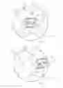 Fig. 04 - Wearable generator device
