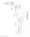 Fig. 31 - EASILY INSTALLED AND NON-DEFACING SECURITY LATCH