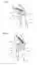Fig. 10 - Lid opening and closing apparatus