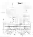 Fig. 04 - Vehicle side body structure