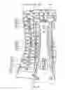 Fig. 90 - Back construction