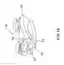 Fig. 10 - Lock release assembly for a collapsible chair having a fold-down back
