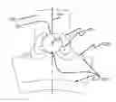 Fig. 01 - Reducing stress in electric-machine rotors by optimizing holes