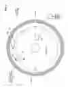 Fig. 05 - Motor with rotor-mounted control circuitry