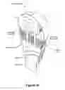 Fig. 10 - SOLID-STATE LIGHT BULB HAVING AN ION WIND FAN AND A HEAT PIPE