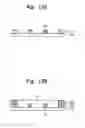 Fig. 17 - Field emission display device