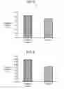 Fig. 03 - Plasma display panel having a dielectric layer