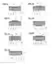 Fig. 04 - Power Transmission Belt Formed with Encoder and Method of Manufacturing Same