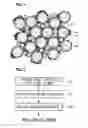 Fig. 02 - PROCESS FOR PRODUCING METALLURGICAL POWDER, PROCESS FOR PRODUCING DUST CORE, DUST CORE, AND COIL COMPONENT