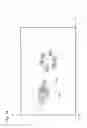 Fig. 15 - INPUT DEVICE, INPUT METHOD, PROGRAM, AND RECORDING MEDIUM